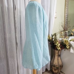 Light Blue Semi-sheer georgette jacket.